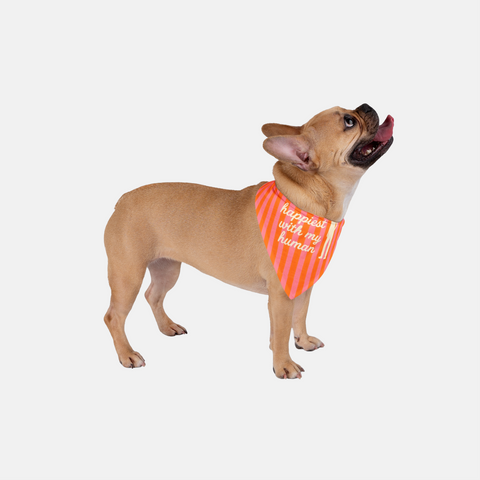 Happiest With My Human Pet Bandana