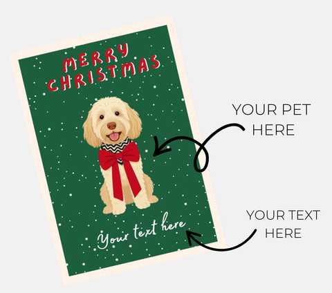 $25 Voucher + e-card