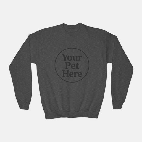 Youth Sweatshirt