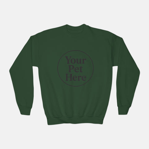Youth Sweatshirt