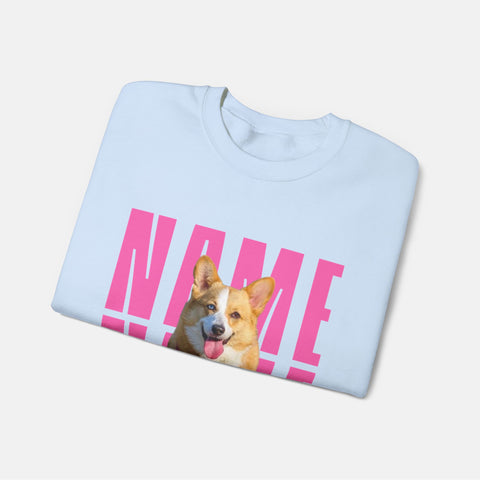 Custom Billboard Sweatshirt | Pink Font