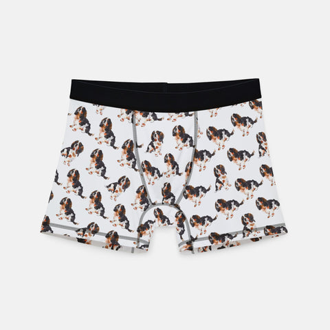Boxers Cavalier Charles Spaniel Underwear