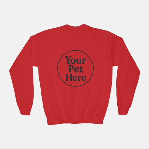 Youth Sweatshirt