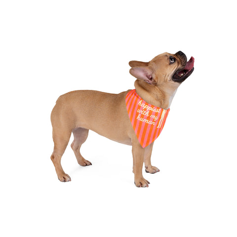 Happiest With My Human Pet Bandana
