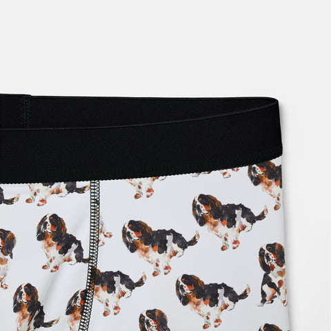 Boxers Cavalier Charles Spaniel Underwear