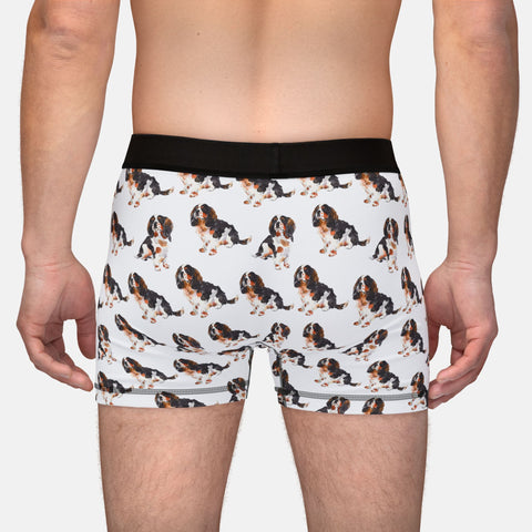 Boxers Cavalier Charles Spaniel Underwear