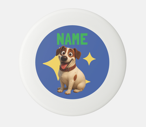 Custom Frisbee