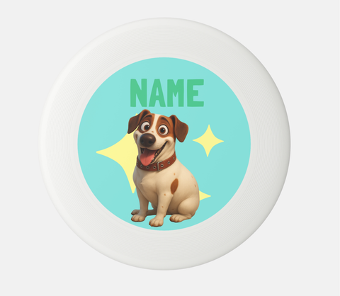 Custom Frisbee