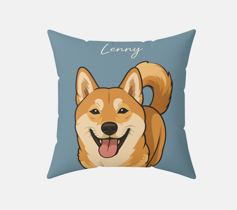 Pillows & Cushions
