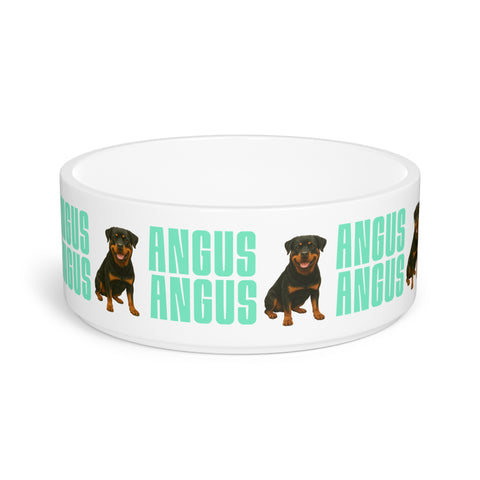 Custom Stylish Pet Bowl