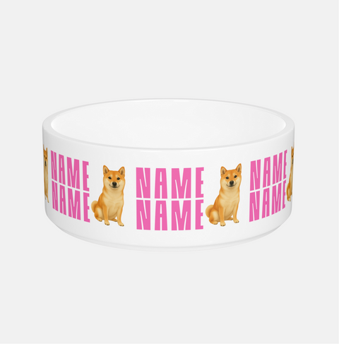 Pet Accessories