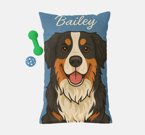 Pet Beds & Home
