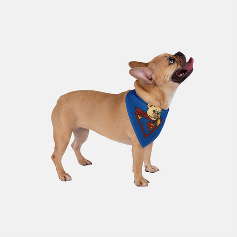 Custom Super Pet Bandana
