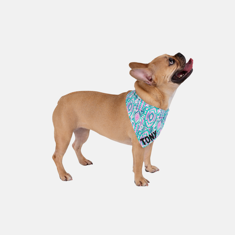 Custom Pet Bandana