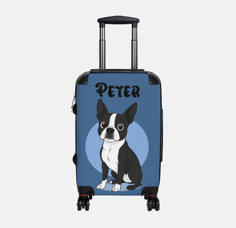 Custom Disney Style Pet Suitcase