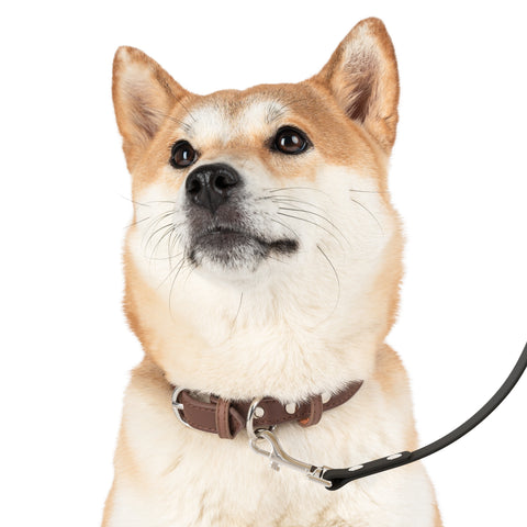 Custom Dog Leash