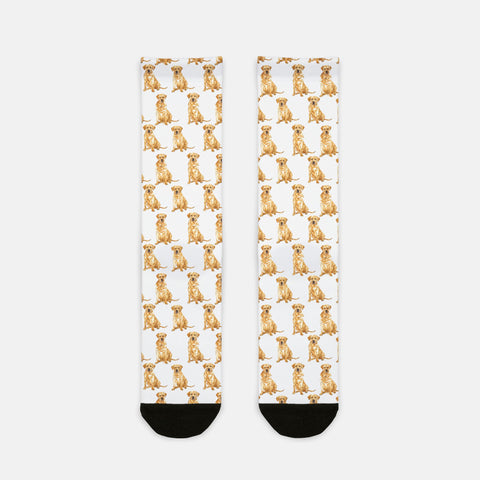 Labrador Pattern Socks