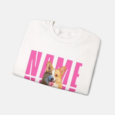 Custom Billboard Sweatshirt | Pink Font