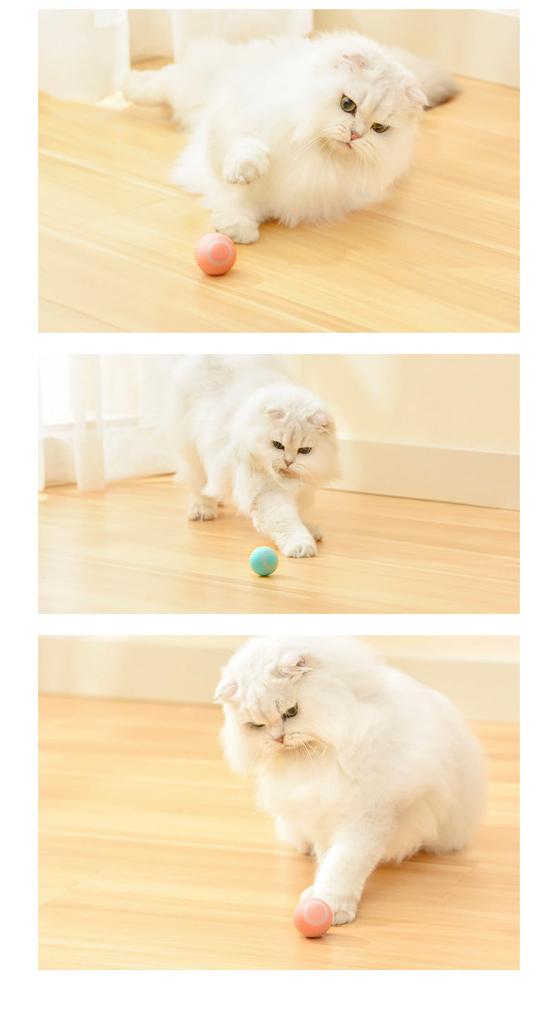 Smart Automatic rotating ball for Cats and Dogs - Petunia Woof