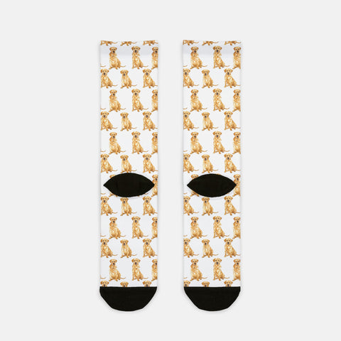 Labrador Pattern Socks