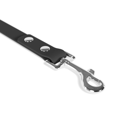 Custom Dog Leash