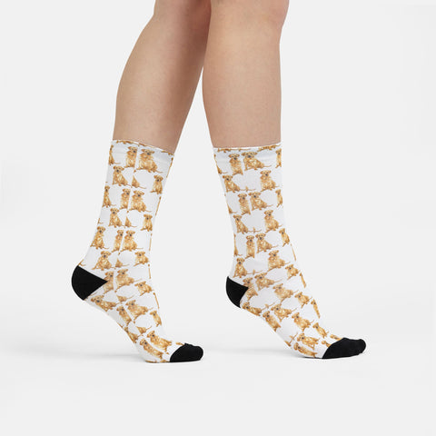 Labrador Pattern Socks