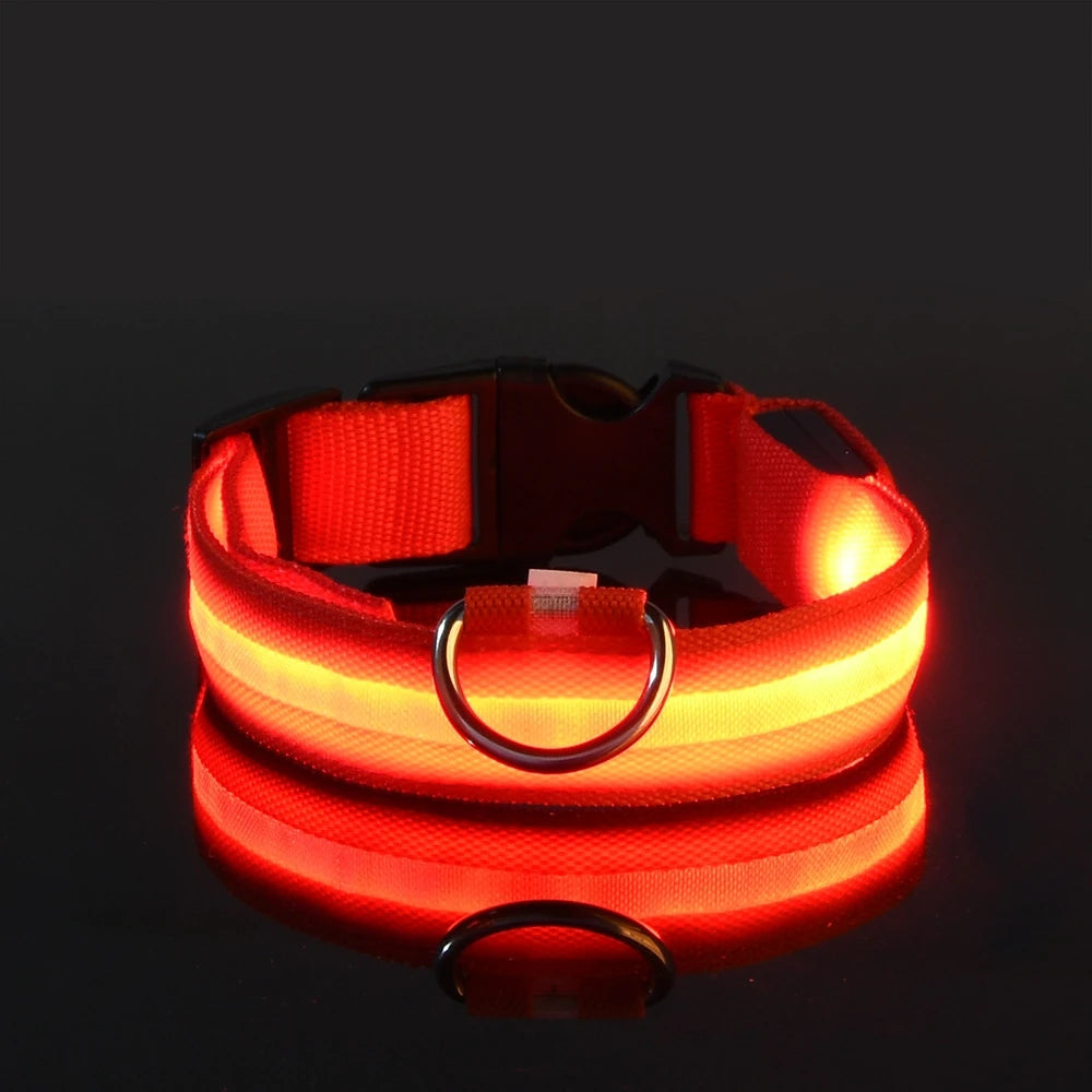 Luminous Fluorescent Pet Dog Collar - Petunia Woof