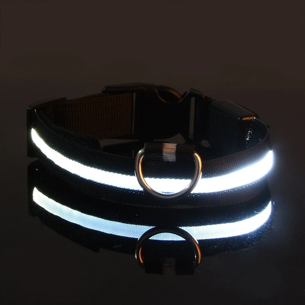 Luminous Fluorescent Pet Dog Collar - Petunia Woof