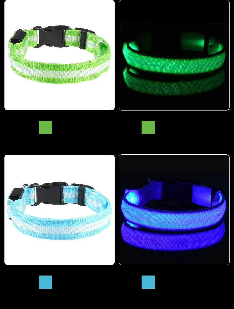 Luminous Fluorescent Pet Dog Collar - Petunia Woof