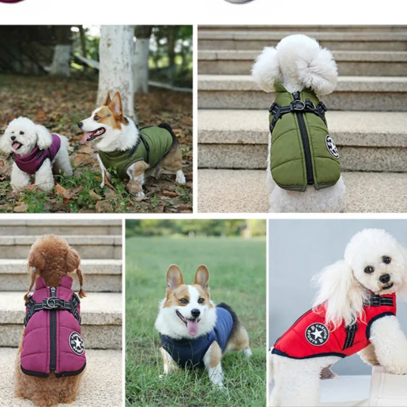 Dog Jacket With Harness - Petunia Woof