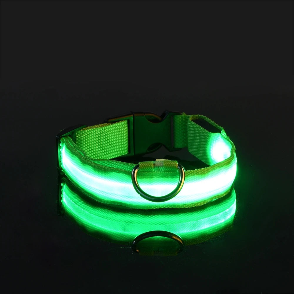 Luminous Fluorescent Pet Dog Collar - Petunia Woof