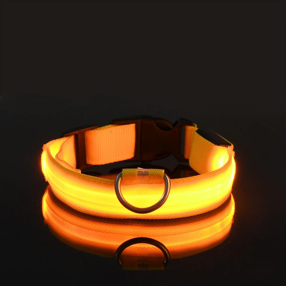 Luminous Fluorescent Pet Dog Collar - Petunia Woof