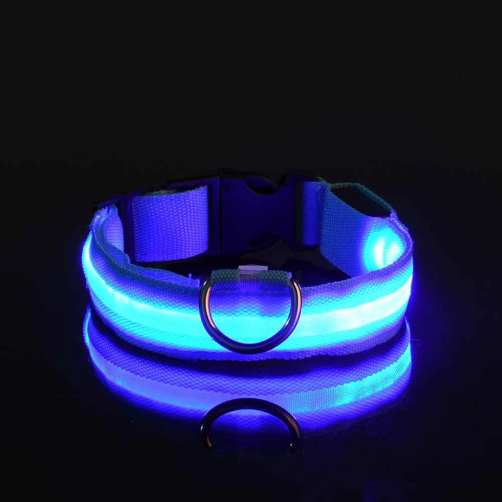 Luminous Fluorescent Pet Dog Collar - Petunia Woof