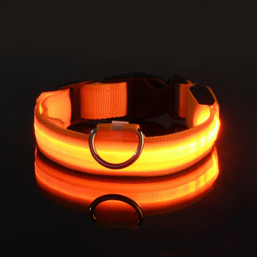 Luminous Fluorescent Pet Dog Collar - Petunia Woof