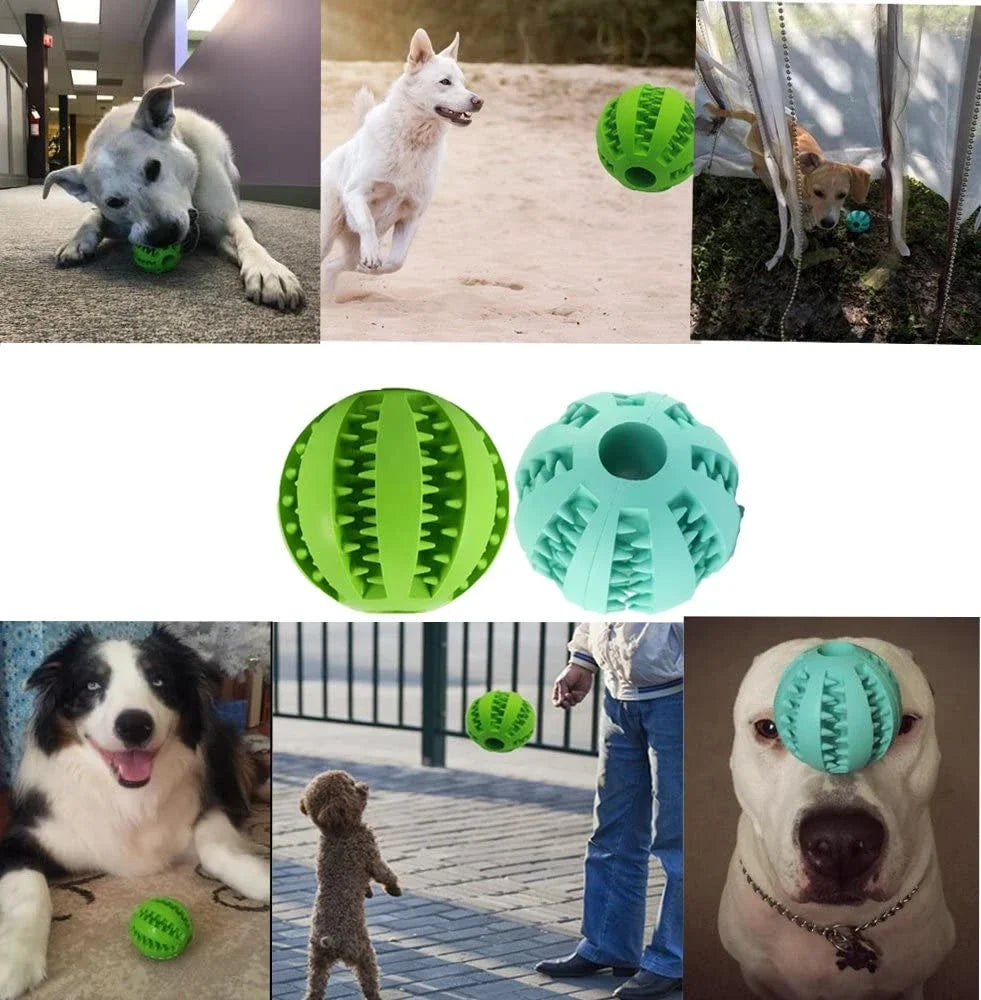 Dog Food Ball Pet - Chewing Toys - Petunia Woof