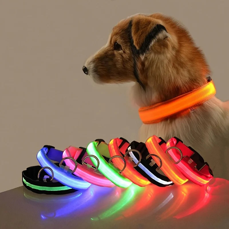 Luminous Fluorescent Pet Dog Collar - Petunia Woof