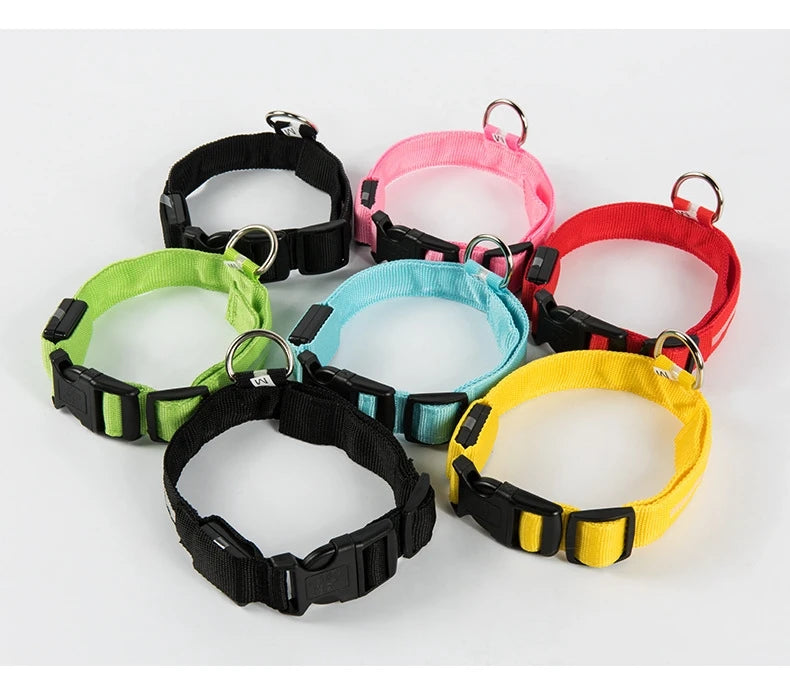 Luminous Fluorescent Pet Dog Collar - Petunia Woof