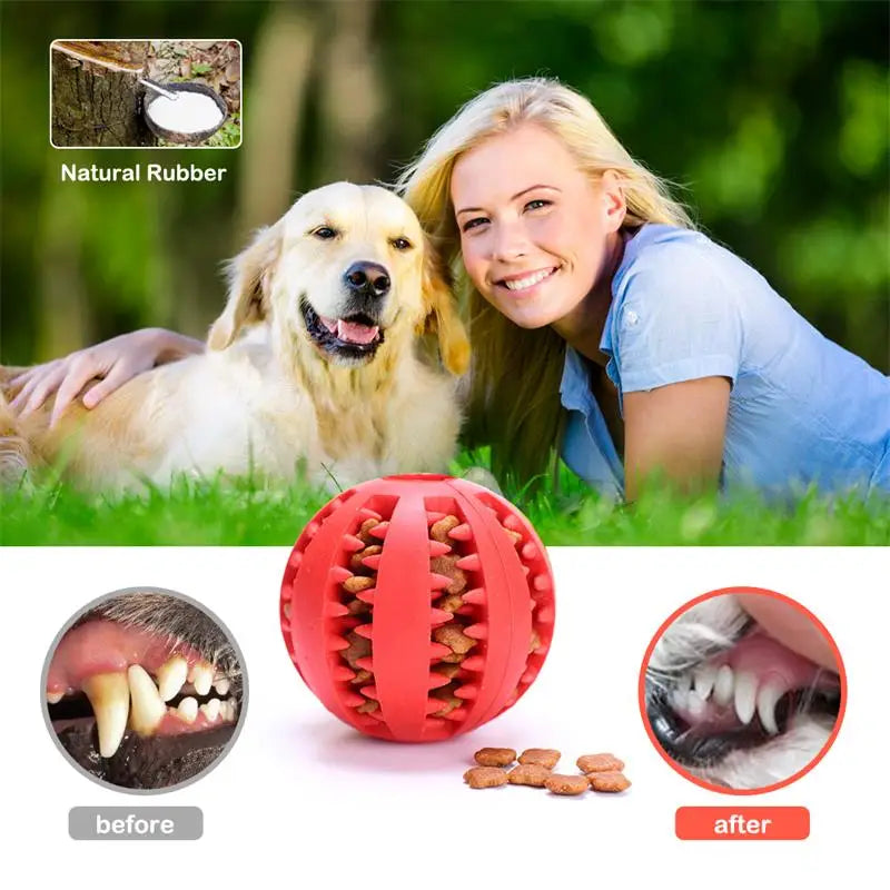 Dog Food Ball Pet - Chewing Toys - Petunia Woof