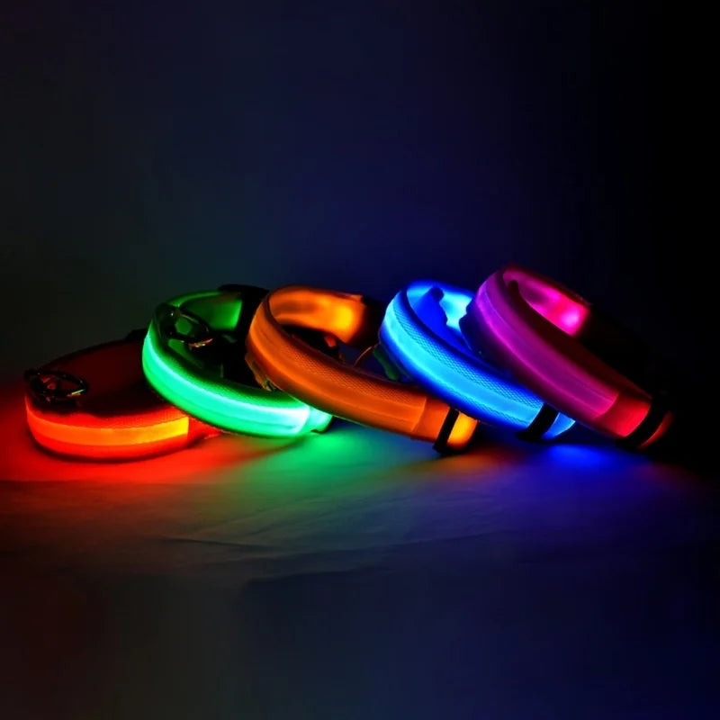 Luminous Fluorescent Pet Dog Collar - Petunia Woof