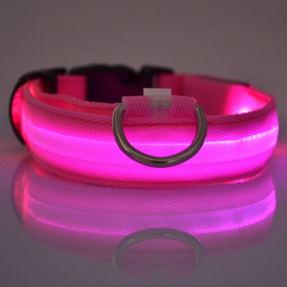 Luminous Fluorescent Pet Dog Collar - Petunia Woof