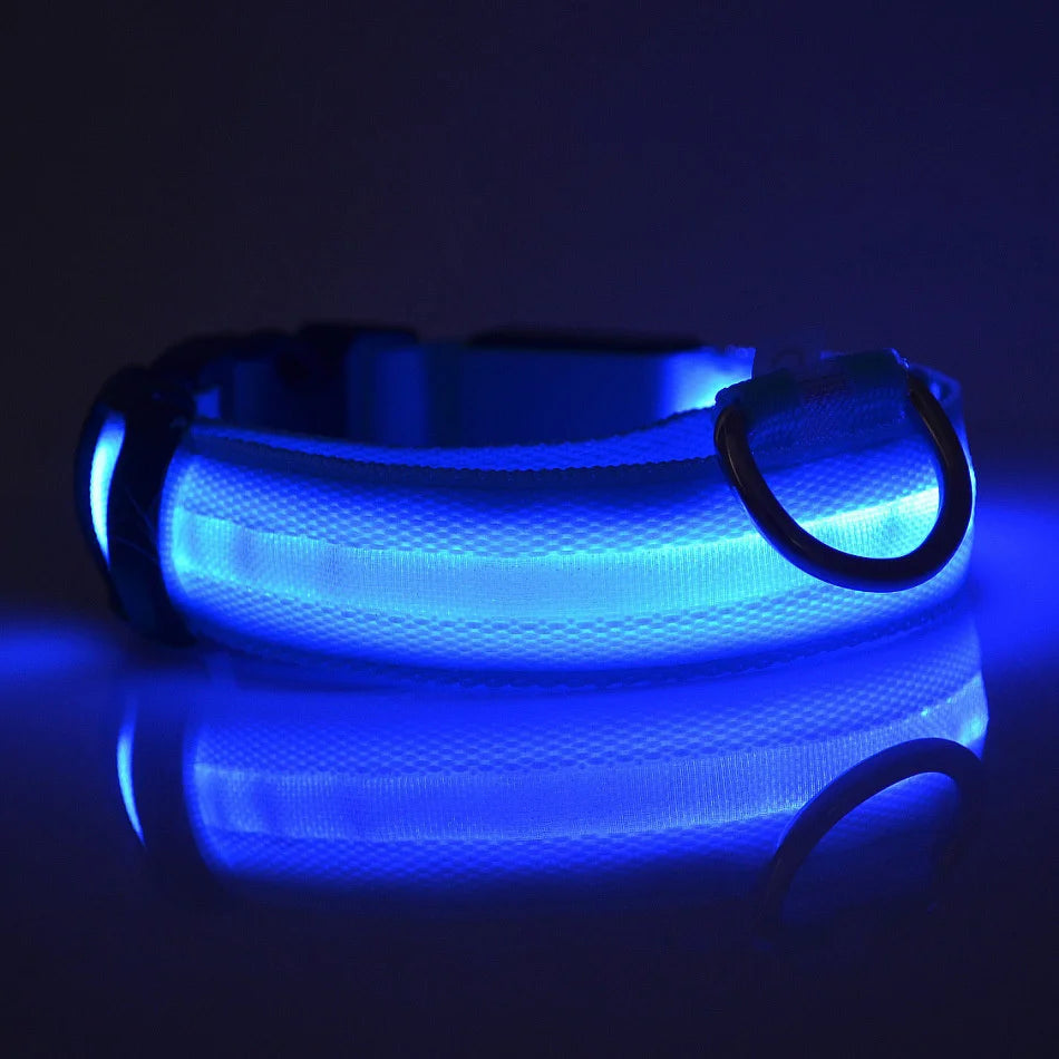 Luminous Fluorescent Pet Dog Collar - Petunia Woof