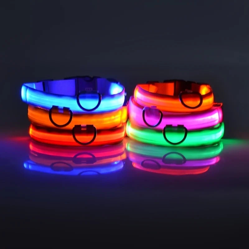 Luminous Fluorescent Pet Dog Collar - Petunia Woof