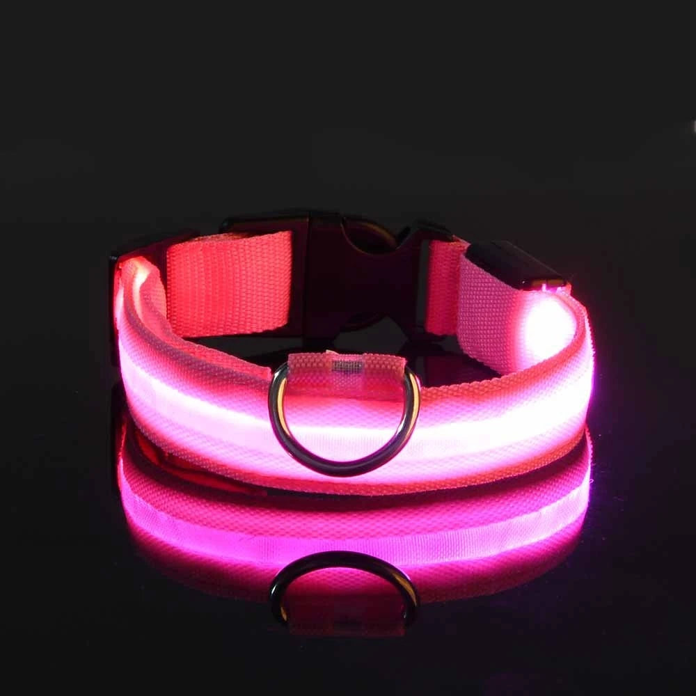 Luminous Fluorescent Pet Dog Collar - Petunia Woof