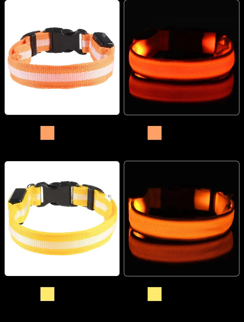 Luminous Fluorescent Pet Dog Collar - Petunia Woof