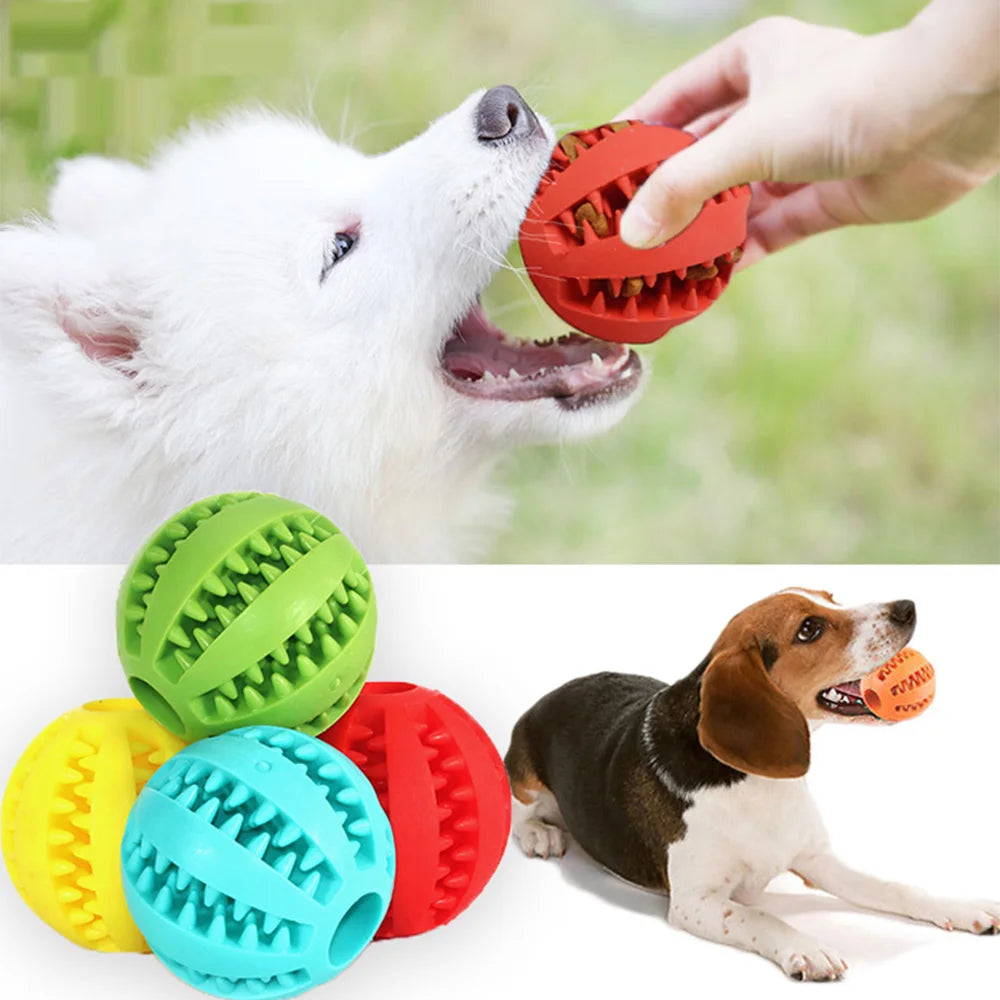 Dog Food Ball Pet - Chewing Toys - Petunia Woof