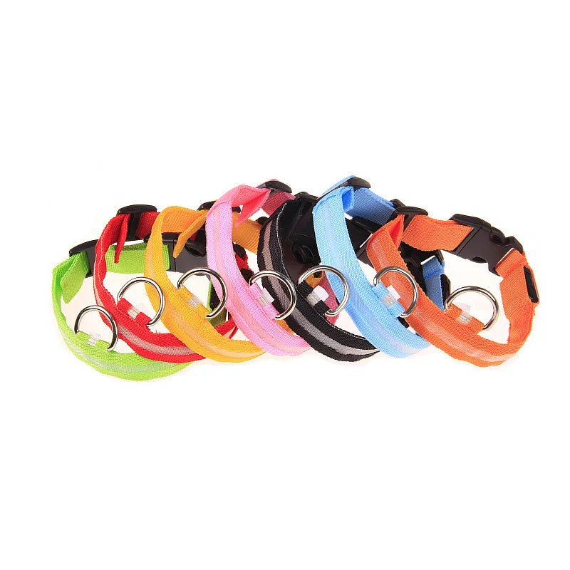 Luminous Fluorescent Pet Dog Collar - Petunia Woof