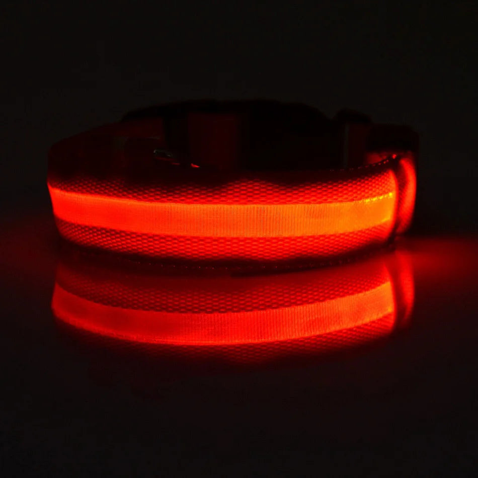 Luminous Fluorescent Pet Dog Collar - Petunia Woof