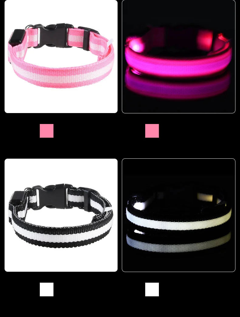 Luminous Fluorescent Pet Dog Collar - Petunia Woof