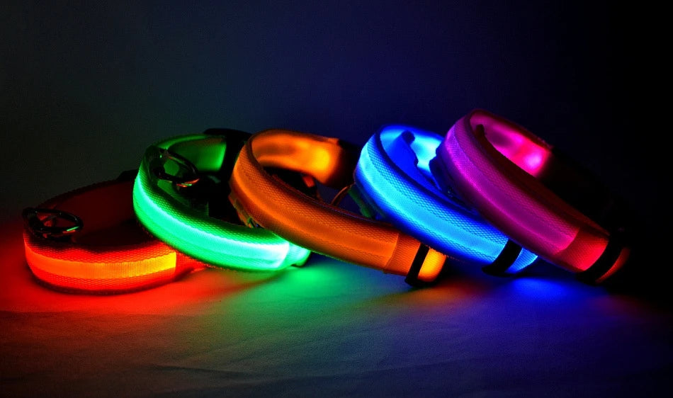 Luminous Fluorescent Pet Dog Collar - Petunia Woof