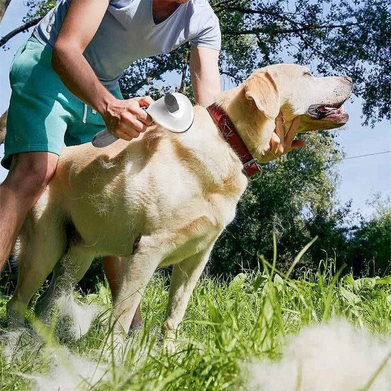 Pet Dog & Cat Brush - Petunia Woof